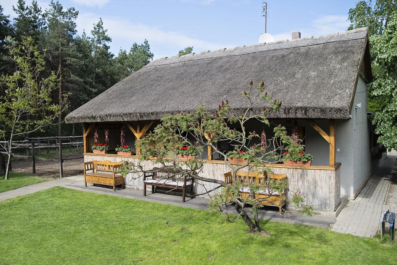 Paripa Csárda Acomodação com café da manhã Debrecen Exterior foto