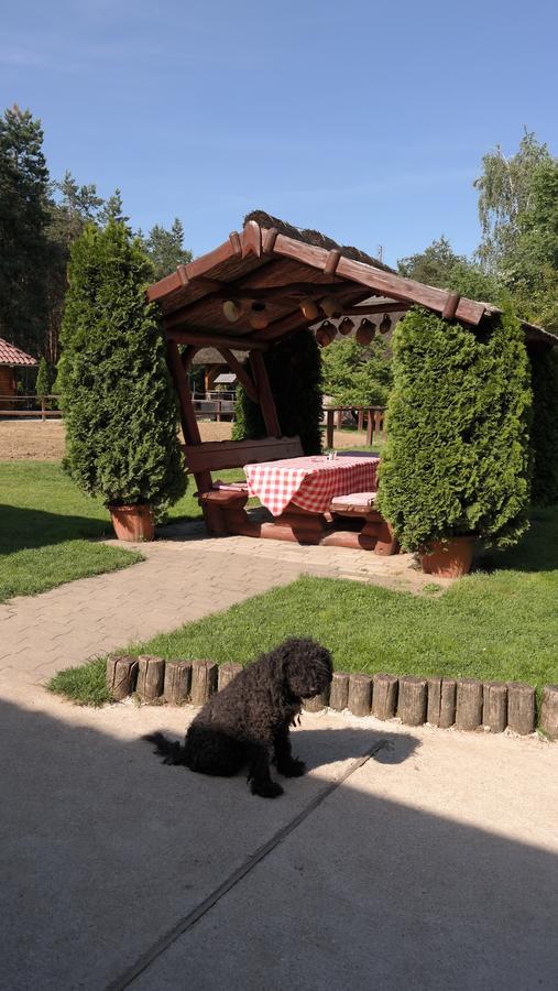 Paripa Csárda Acomodação com café da manhã Debrecen Exterior foto